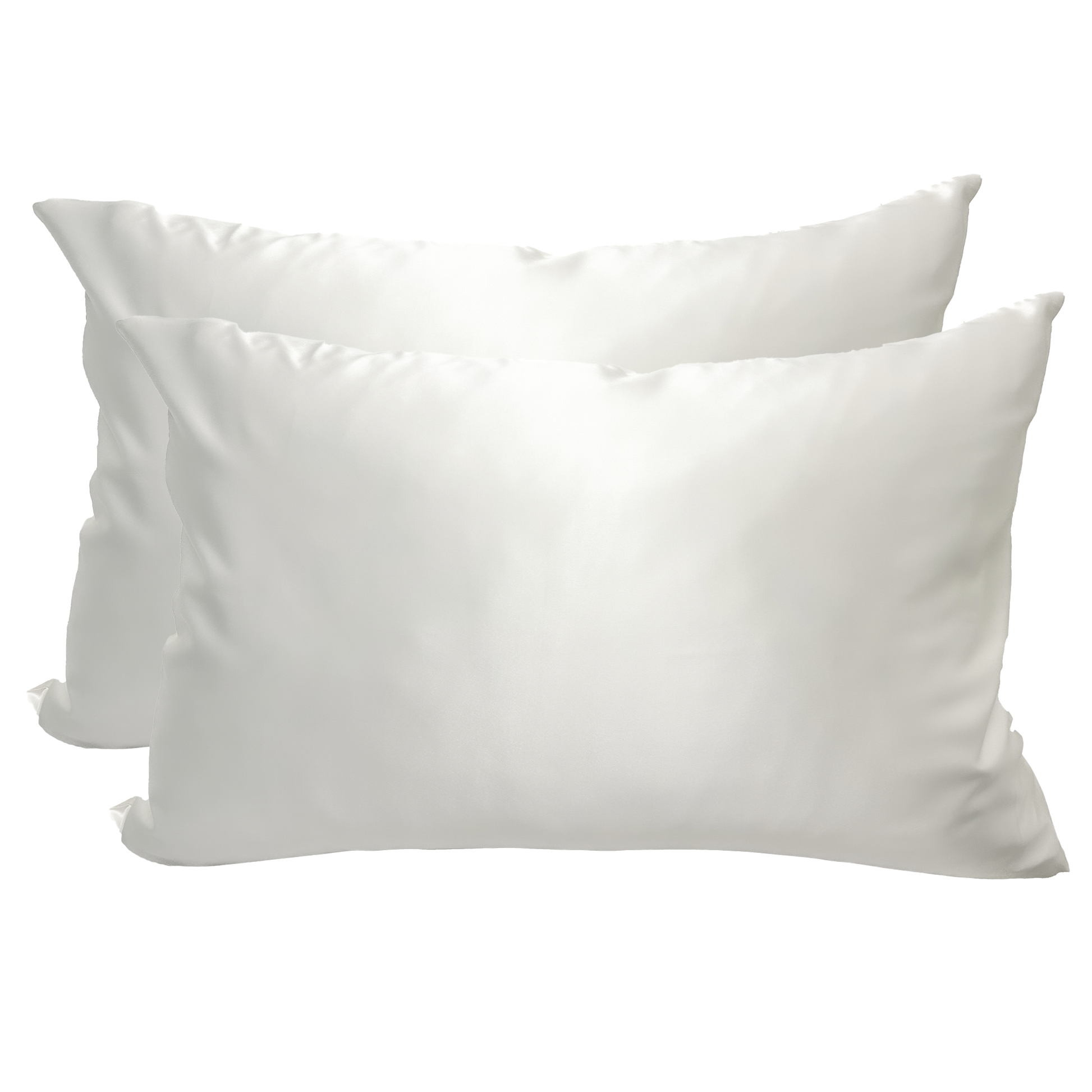 SET OF 2 PURE MULBERRY SILK PILLOWCASES